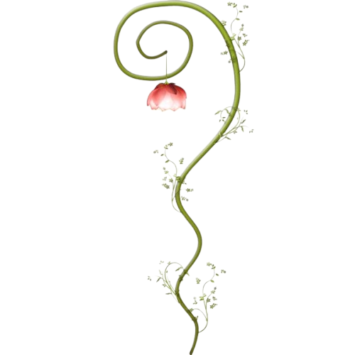 Orchid Fairy Right Bottom